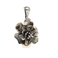 Срiбна Підвіска (арт. Алнаир)