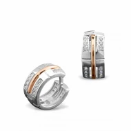 Срiбнi Сережки з куб. окс. цирконію (арт. 254С.Rh)